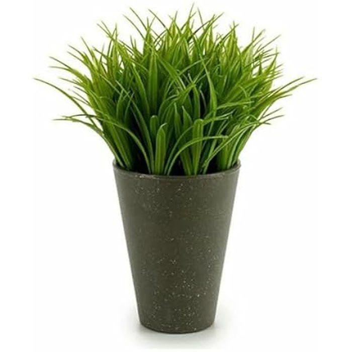 Plante Décorative - IBERGARDEN - Vert/Gris - 11 X 18 X 11 Cm - Lot De 12 Unités - Plastique