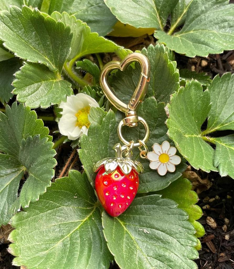 Cute Strawberry Keychain,Bag Charms,Kawaii Heart Flower Key chains Accessories Decor for Girls Purse Gifts