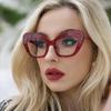 Large Frame Cat Eye Women's Fashion Sunglasses Simple Transparent Lenses Suitable for Shopping and Vacation Accessories