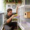 Vogeltränke für Käfigvögel Futternapf Käfigfutterspender mit Sitzstange Kakadu Futternapf für Conure Wellensittich Kakadu Kanarienvogel Unzertrennliche