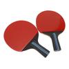 Table Tennis Paddle Set Portable Professional Table Tennis Bats with 3 Balls Storage Bag for Indoor