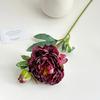 24" Artificial Peonies Flowers for Vase Faux Silk Long Stem Peony Flower Fake Floral Arrangement for DIY Bouquets Wedding Centerpiece Home