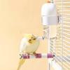350ml Parrot Water Dispenser No Drip Bird Water Dispenser Bird Water Bottle  Parrot