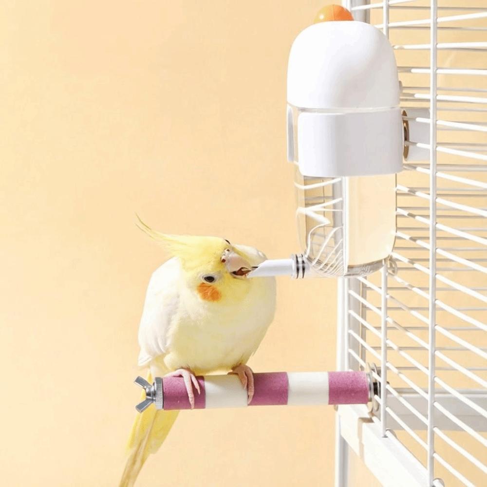 350ml Parrot Water Dispenser No Drip Bird Water Dispenser Bird Water Bottle  Parrot