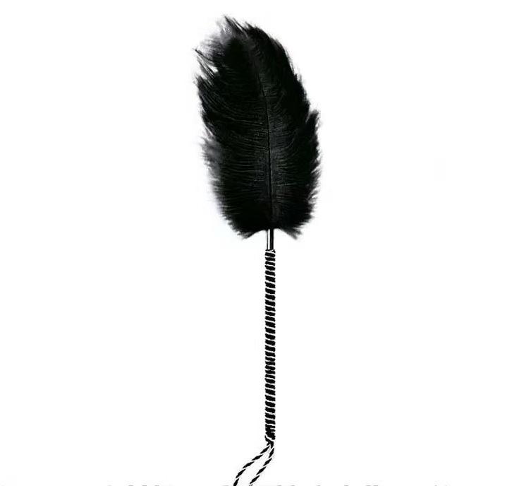 Unisex Feather Stick Adult Toy - Discreet Alternative