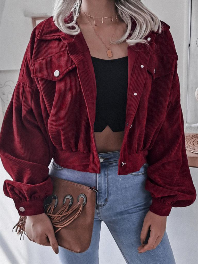Ins Style Autumn Velvet Long Sleeve Cardigan Jacket for Women