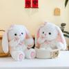 Bunny Toy Plush Cute Cartoon Butterfly Girl Children Birthday Holiday Gift Doll