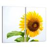 Glas-Kochfeld-Schutzplatte 2x30x52 Blume