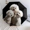 Motif adorables chiots, parapluie à pliage automatique, design portable et pliable, 8 baleines, un cadeau de Noël ou d'anniversaire.