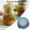 Sprouting Lid With Stainless Steel Screen Mesh Cover Wide Mouth MasonJar For Mouth MasonSprout Jars Germination Strainer