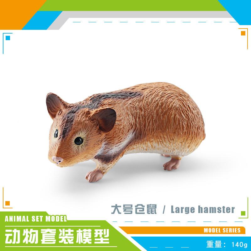 Realistic Forest Animal Models Set Including Hamster Snail Sugar Glider Mouse Meerkat Anteater For Kids Educational Playtime Fun
