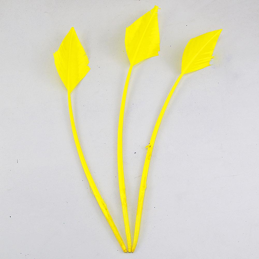 FeatherYellow Feathers for Crafts, 31 Styles Natural Pheasant, Rooster, Duck Feathers Bulk for Costume DIY, Fly Tying,Party Decoration