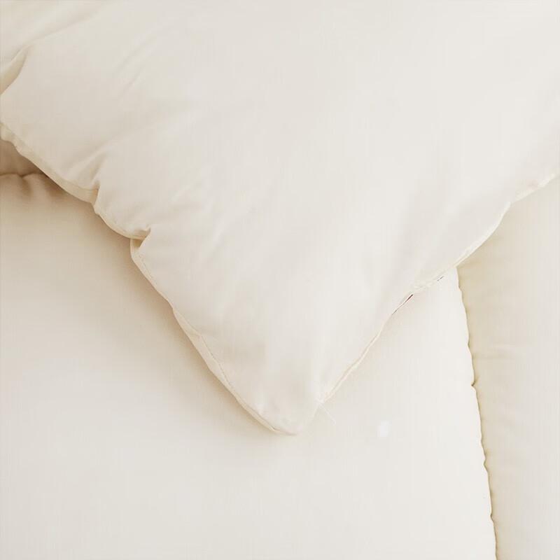 Nanjiren 100% Xinjiang Cotton Winter Duvet