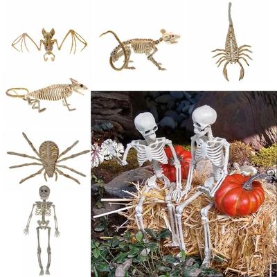 Human Bones Halloween Bats Skeleton Bat Mouse Lizard Scorpion Animal Model  Home