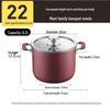 COOKER KING 22cm Enamel Multi-Cooker Pot