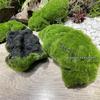 Artificial Moss Stone Decor: Green Hairy Stone Prop for Photography and Bonsai Landscaping
