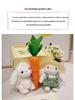 Pastoral Little Rabbit Comfort Doll - Stuffed Toy & Pendant