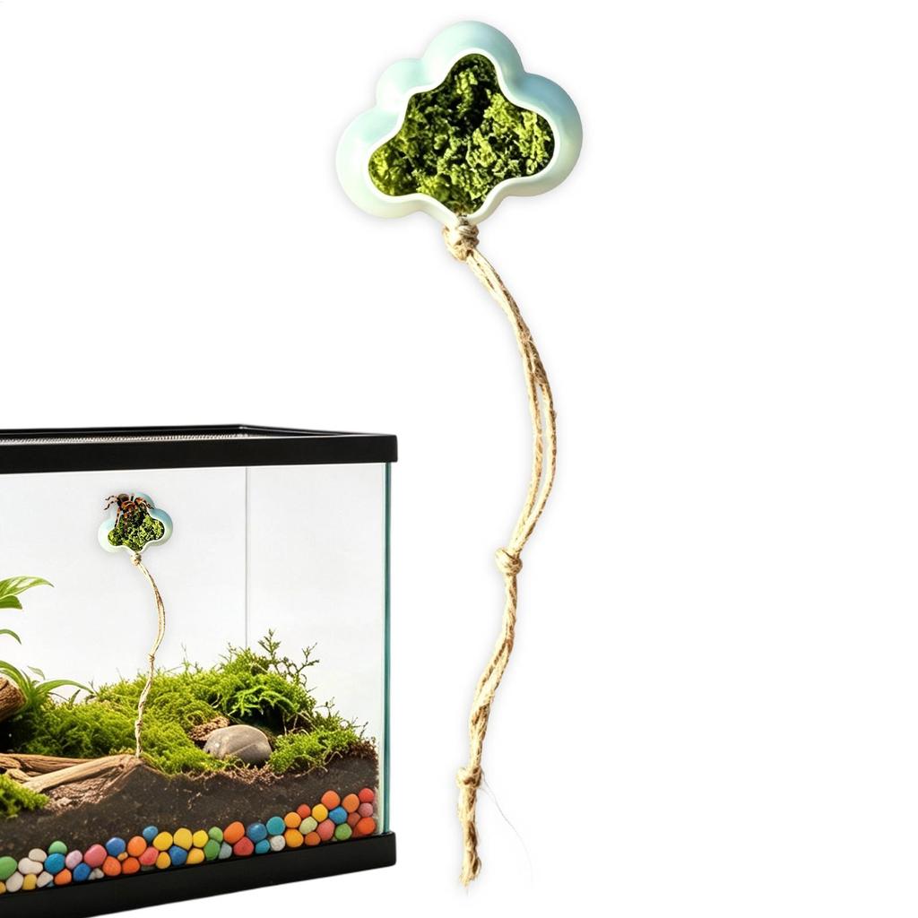 Jumping Spider Resting Climbing Habitat Hideout Cave Accessory Small Gecko Reptile Secure Hide Cave Terrarium Decor Pet Supplies