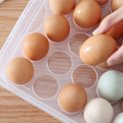 Gıda Kapları – Yumurta kapları