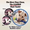Dog Teethers Pet Teething Toys New Dog Toothbrush