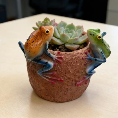 2 Pcs Planter with 2 Frogs On Rim Funny Frog Resin Flower Pot for Indoor Plants Small Decorative Desk Cactus Pot for Home Office Garden Decor
