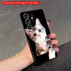 2DFlat Samsung Phone Case Adorable Tabby Kitten Phone Case Applicable To Galaxy S23 S24 S25ULTRA S26 A12 A14 A15 A16 A54 A55