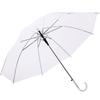 Clear Automatic Straight Umbrella with Long Handle
