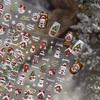 Christmas Nails Art Stickers Winter Dreamy Snowflake Snowman Christmas Tree Nails Accessoires Adhesive Embossed Manicure Decals