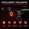 Bike Tail Light Smart Sensing MTB Road Bike Rear Light Night Riding Light Waterproof USB C Charging Taillight Cycling Accessory