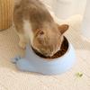 Stainless Steel Pet Cat Feeder Bowl Anti-spill Anti-leakage Cat Water Feeder Non-slip Snail Shap Food Water Bowls Home