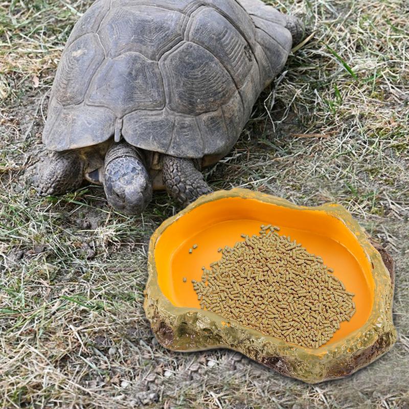 Reptil Vattenskål Reptil Terrarium Orm Vattenbassäng Skål Orm Matningsstation Reptil Terrarium Skålar Dekoration För Tank Bricka