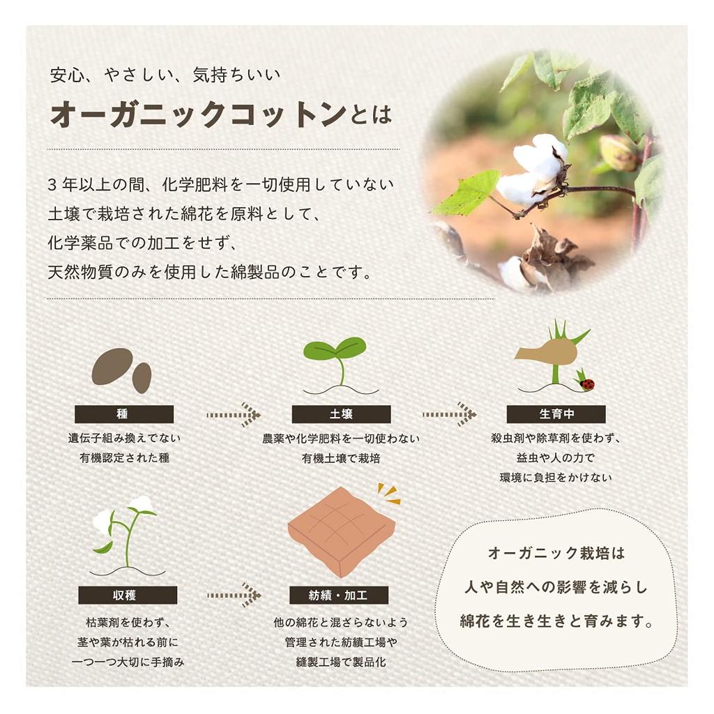 IKEHIKO Made In Organic 40 X 40 Box Cushion Cushion, Square, Thick, Portable, Japan, Cotton, 100% Cotton, Clara, Plain, Washable, Cushion, Approx. Cm,
