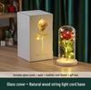 Rose in Eternal Glass Dome with Dust Cover - 520 Valentine's Day Birthday Gift Ornament