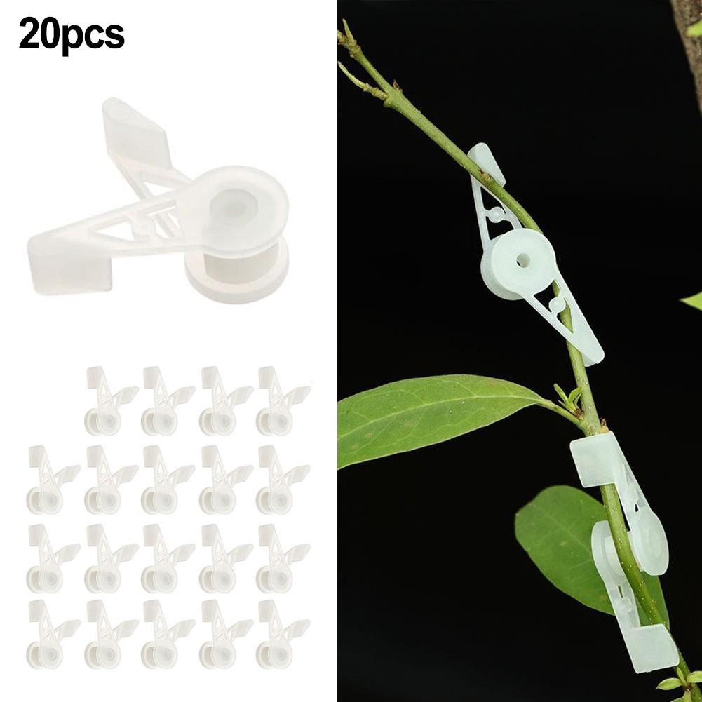 Plant Branch Bender 360 Degree 4*1cm/1.57* 0.4 Inch Clips