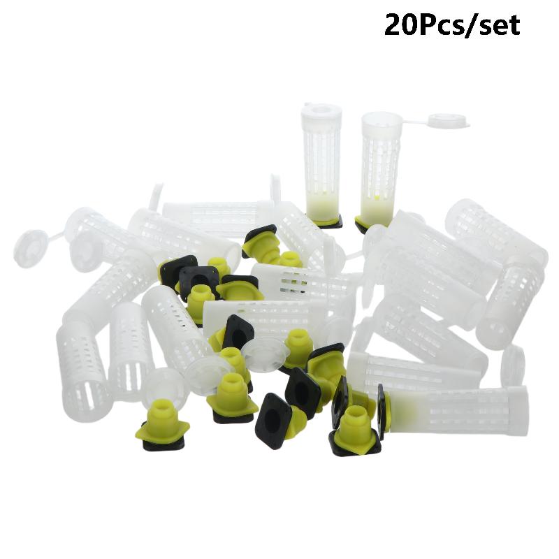 20Pcs Queen Bee Protection Cage Plastic Rearing Cage Beekeeping Tools Catcher Box Cell Cups For Beekeeper Apicultura Tool