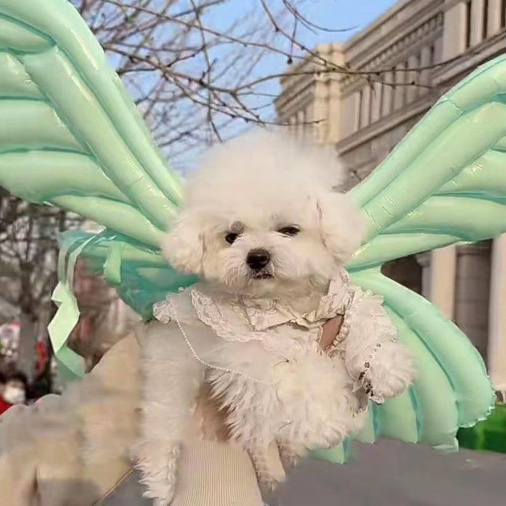 Butterfly Wing for Dog Cat Halloween Costume Festival Dress Up Photo Props Costume Balloon Wing Pretend Playing