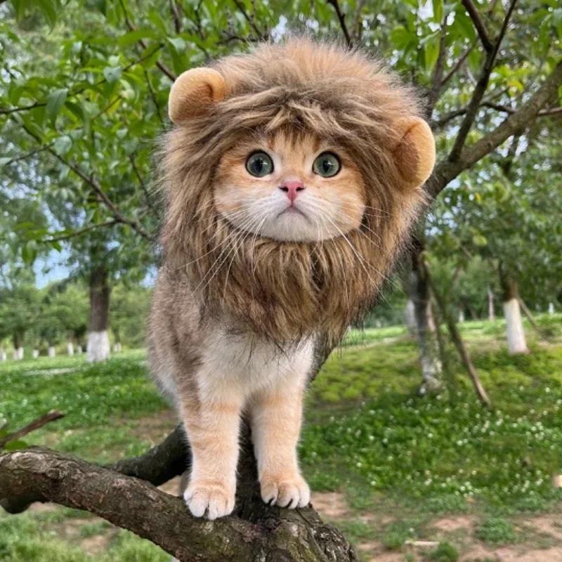 Cappello da Gatto con Criniera da Leone Costume di Halloween Costume da Leone Cosplay da Gatto Vestire Cappelli per Animali Domestici per Gatti Piccoli e Gattini Decorazione per Feste