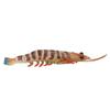 Marine Prawn Animal Model Early Learning Educational Vivid Simulation Home Decoration Sea Animal