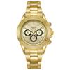 Dinaton Law'S Submariner Water Ghost Steel Belt Luminous Non-Mechanical Quartz Gift Watch