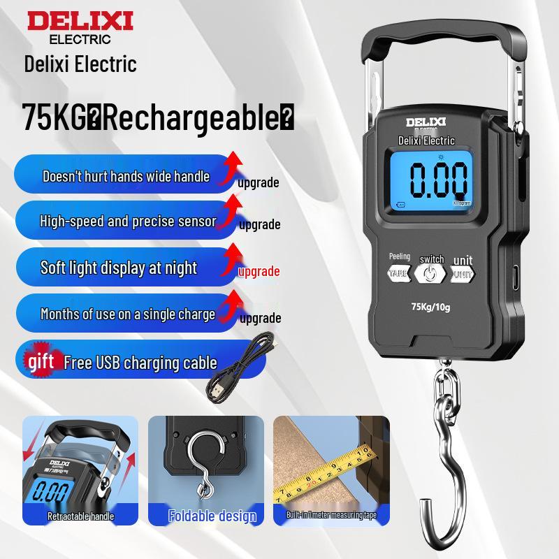 Delixi Electric Portable Handheld Precision Scale for Household Use