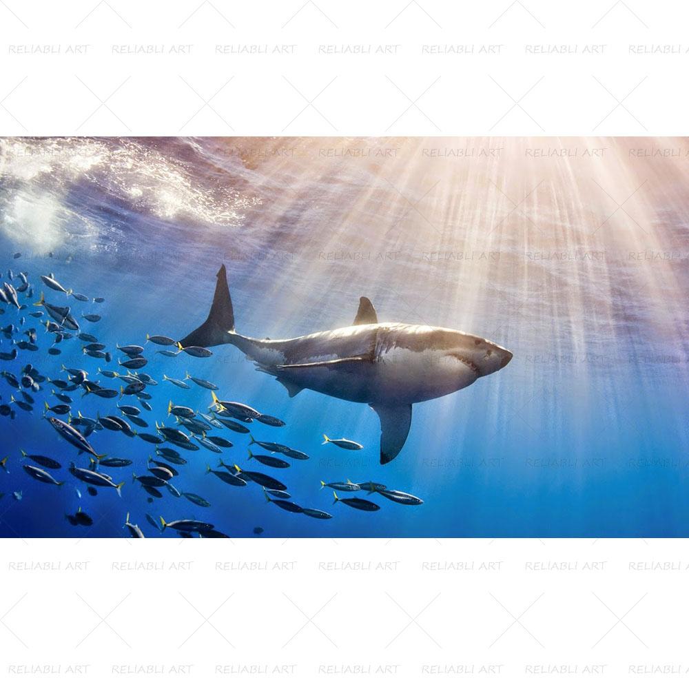 Shark Sea Animal Posters Wall Art Pictures for Living Room Modern Canvas Prints Cuadros Home Decorative Painting NO FRAME