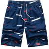 Men's Quick-Dry Casual Shorts with Elastic Waistband and Pockets for Beach and Outdoor Activities