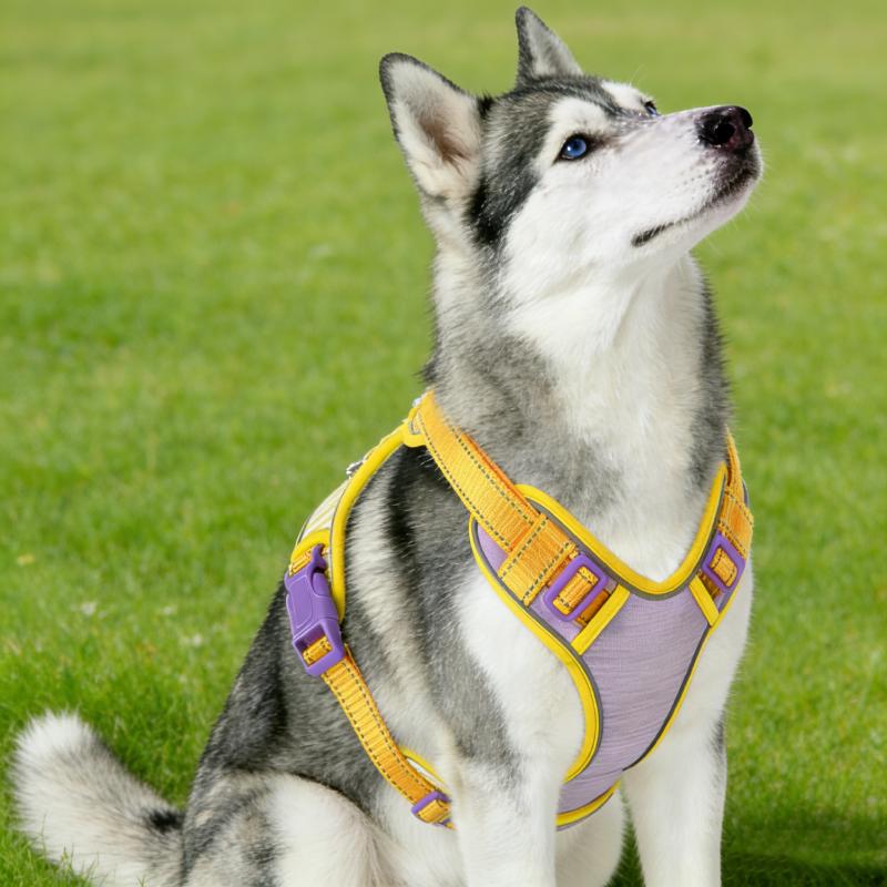 No-Pull Dog Harness Vest with Striped Color Block Design New Macaron Colors Adjustable Escape-Proof Pet Leash Set for Walking