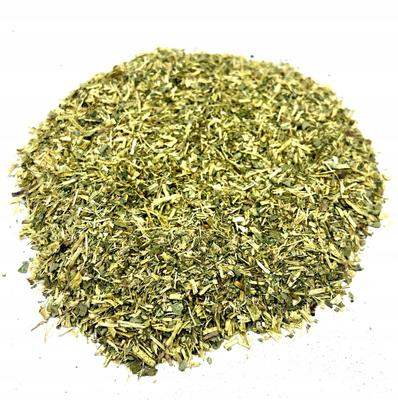 Grindelia Herb Grindelia Doględka Strong Doględka 1 Kg Natural Shop