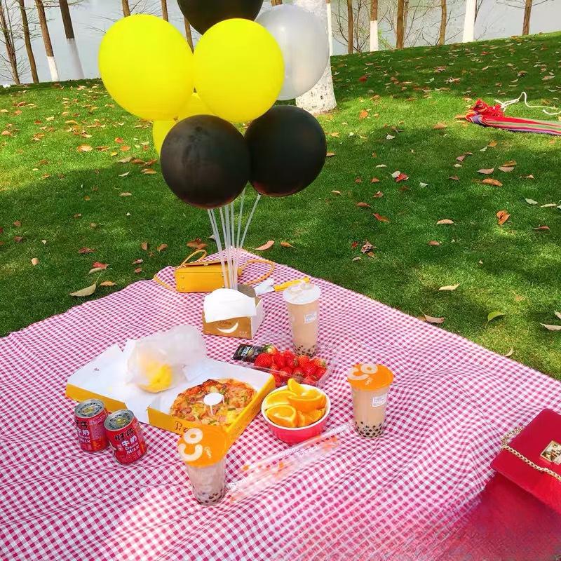 Portable Picnic Mat & Tablecloth