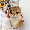 For Motorola Edge 30 Pro Case XT2201-1 New Fashion Painted Cover Soft TPU Phone Case For Motorola Edge Plus 2022 Edge30 5G Shell