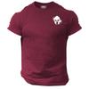 Blood Spartan Helmet T Shirt Small Gym Clothing Bodybuilding Training Boxing Top