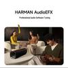 Xiaomi Sound Party Pro Tragbarer Bluetooth-Lautsprecher CN-Stecker (Adapter enthalten) (CN-Version)