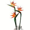3 peças Flores Artificiais Ave do Paraíso Borracha Estrelícia Haste Longa 24,5'' Adequado Para Decoração Temática de Festa em Casa DIY
