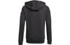 Adidas Grade School Sweatshirts Hooded Moderate GK9544